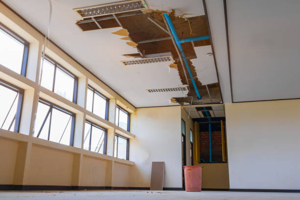 Best Flood damage cleanup  in Sylvania, AL