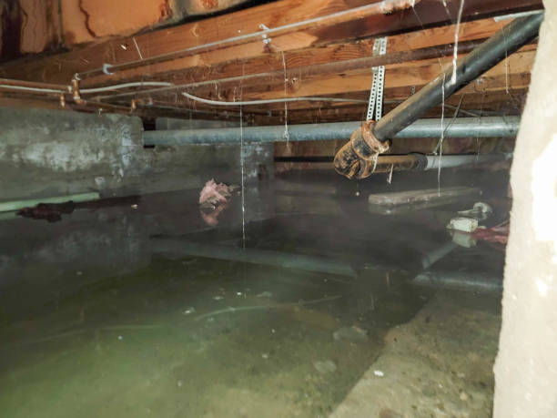  Sylvania, AL Water damage restoration Pros
