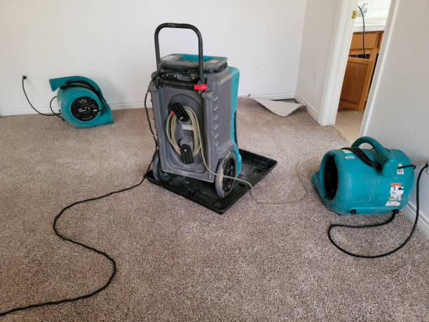 Best Residential water damage restoration  in Sylvania, AL