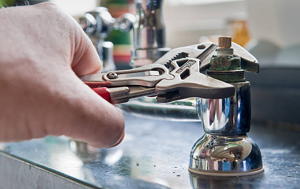 Best Local water damage restoration  in Sylvania, AL