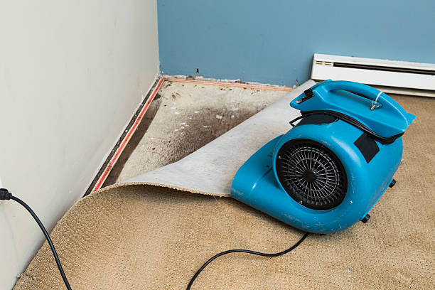 Best Fire Damage Restoration  in Sylvania, AL